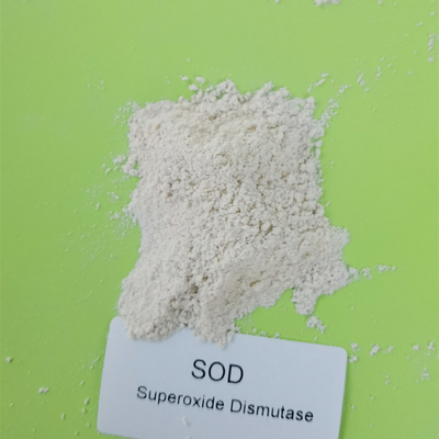 Categoria cosmética do Dismutase microbiano do Superoxide da fermentação SOD2 Mn/Fe