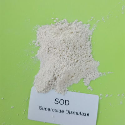 Categoria cosmética do Dismutase microbiano do Superoxide da fermentação SOD2 Mn/Fe