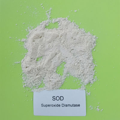A GRAMA do Dismutase do Superoxide do PH 4-11 pulveriza 50000iu/g