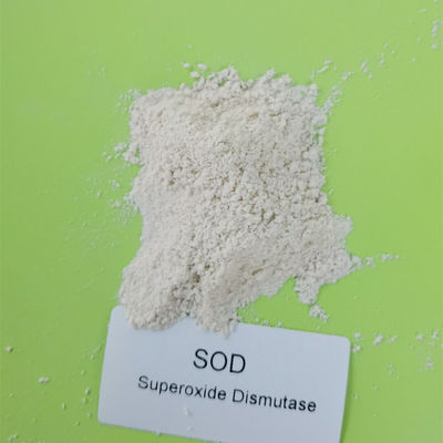 matéria prima cosmética do Dismutase do Superoxide da GRAMA de 500000iu/g 99%