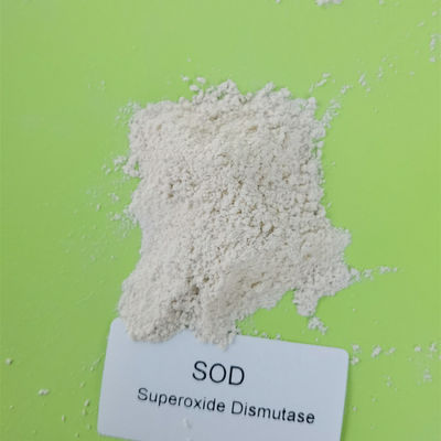 Dismutase do Superoxide do produto comestível 50000iu/g em Skincare 9054-89-1