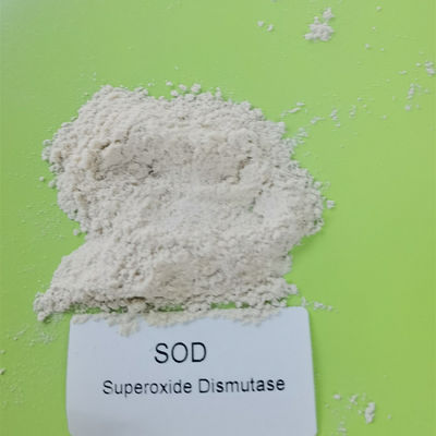 Dismutase do Superoxide de 99% CAS 9054-89-1 nos cosméticos