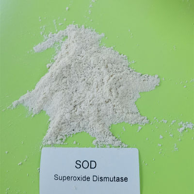 O Dismutase branco do Superoxide da GRAMA de 99% pulveriza 500000 iu/g