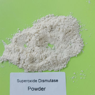 PH 4-11 do pó do Dismutase do Superoxide da matéria prima do produto comestível
