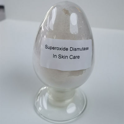 Prevenção antioxidante dos cuidados com a pele do Dismutase do Superoxide de 99% de pontos da idade