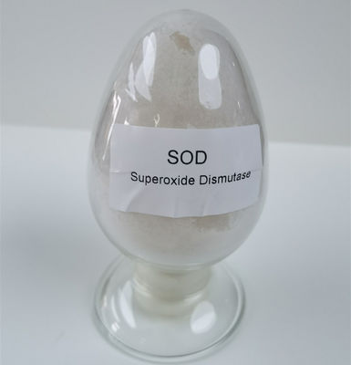 Pó do Dismutase do Superoxide da GRAMA da licença de produção alimentar do ensaio 50000iu/g