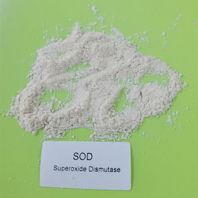 Dismutase microbiano do Superoxide da extração da pureza 99% nos cosméticos CAS 9054-89-1