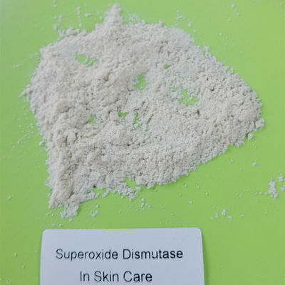 Dismutase HALAL do Superoxide do antioxidante da pureza 99% do produto comestível